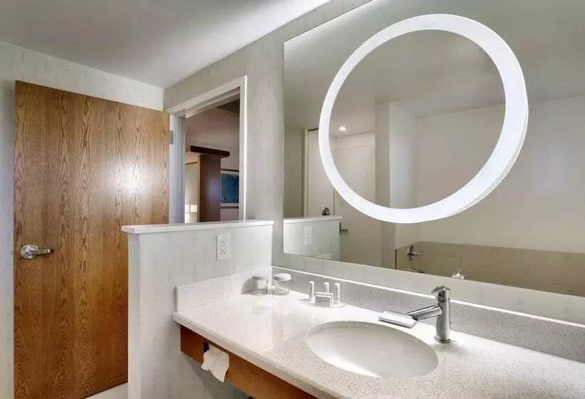 Springhill Suites By Marriott Rexburg