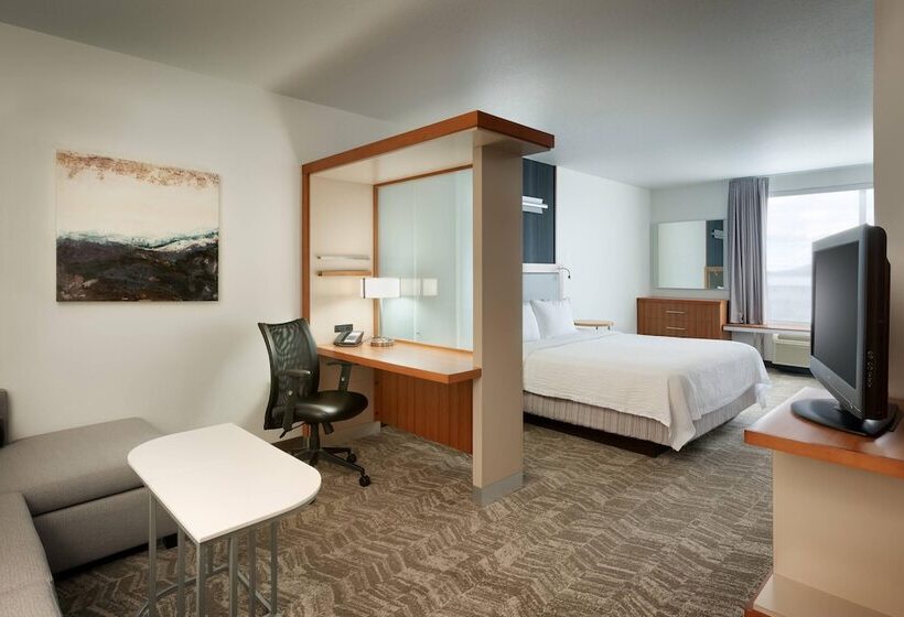 Springhill Suites By Marriott Rexburg