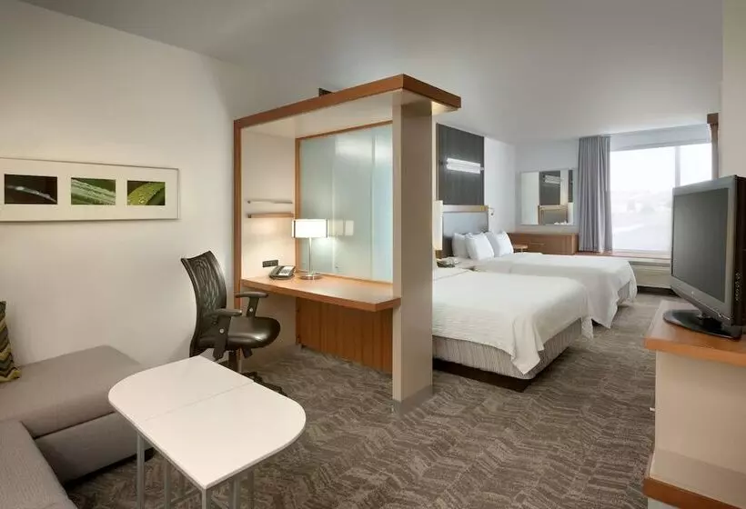 Springhill Suites By Marriott Rexburg
