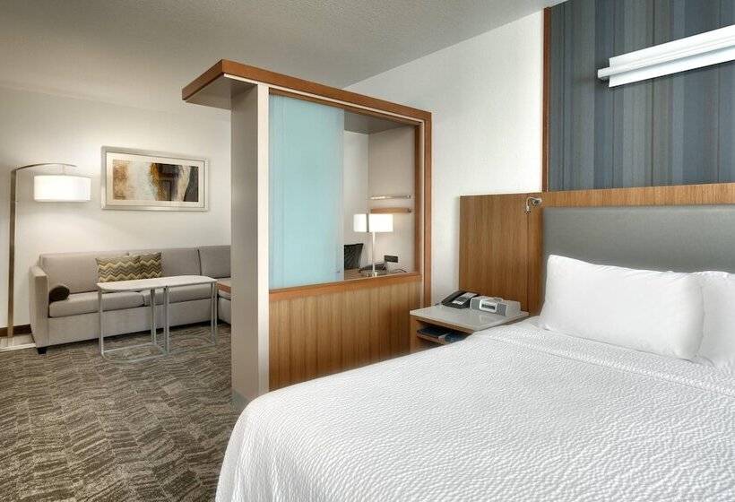 Springhill Suites By Marriott Rexburg
