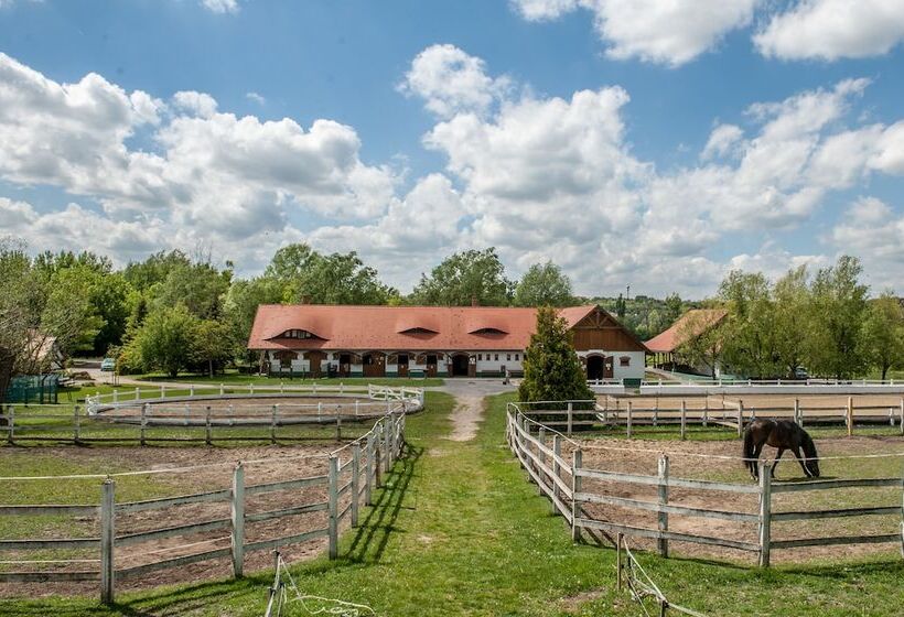 Club Dobogomajor Superior