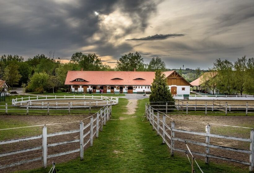 Club Dobogomajor Superior