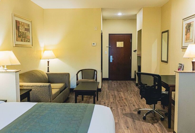 هتل Baymont By Wyndham Tyler