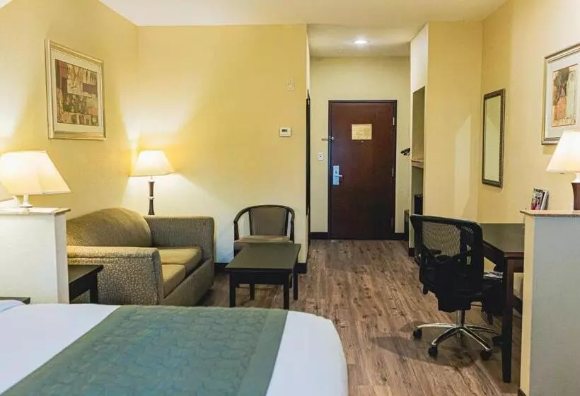 Отель Baymont By Wyndham Tyler