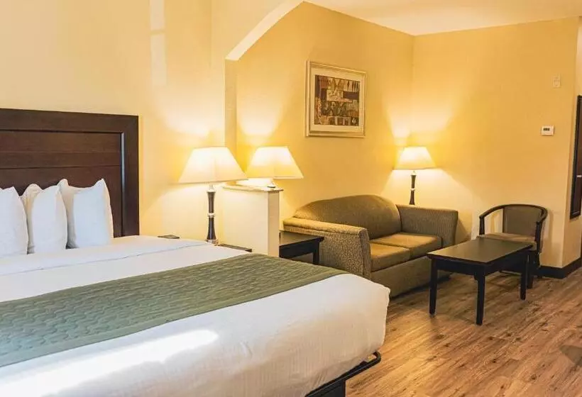 Отель Baymont By Wyndham Tyler