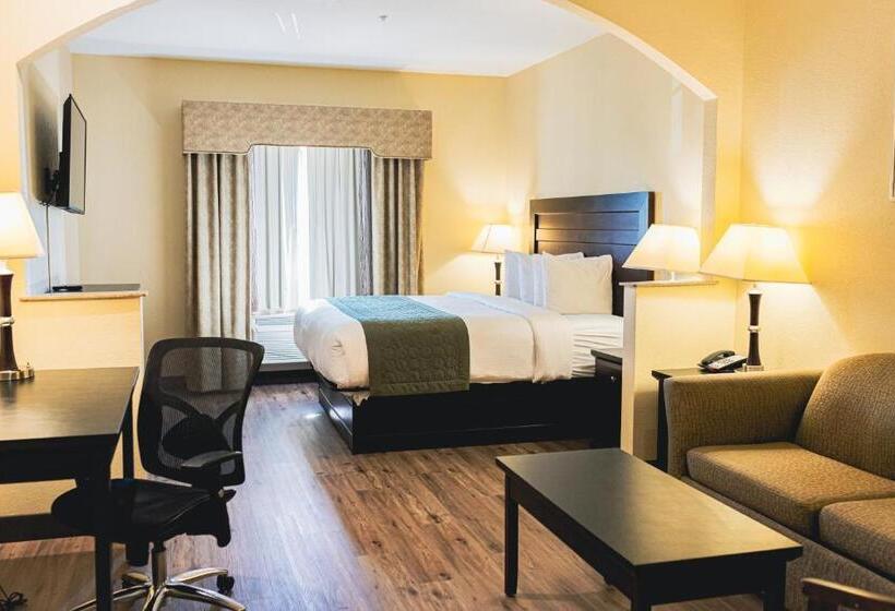 هتل Baymont By Wyndham Tyler