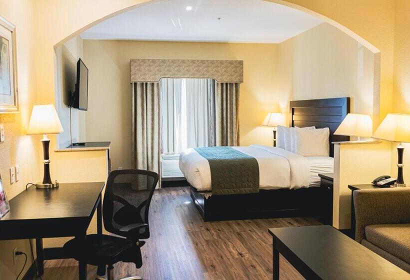 هتل Baymont By Wyndham Tyler