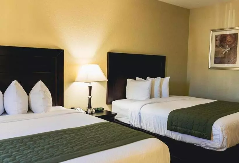 Отель Baymont By Wyndham Tyler