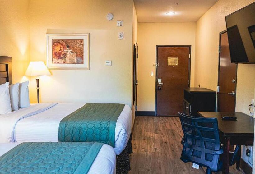 هتل Baymont By Wyndham Tyler