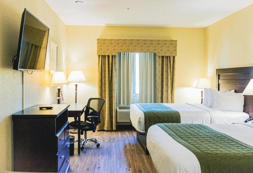 هتل Baymont By Wyndham Tyler