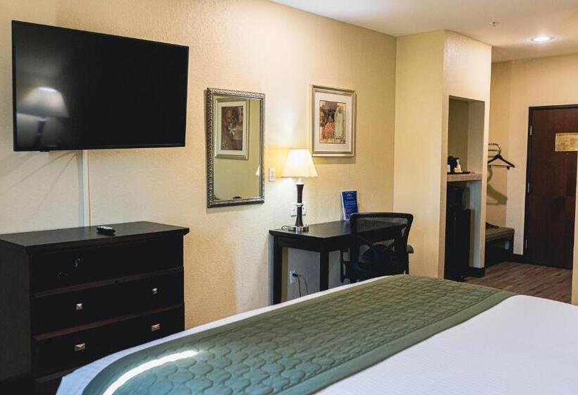 هتل Baymont By Wyndham Tyler