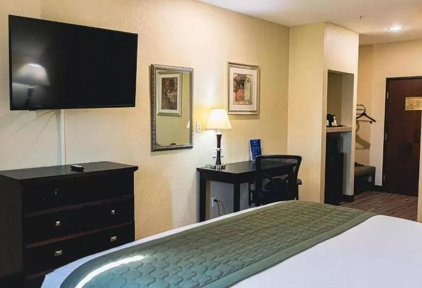 Отель Baymont By Wyndham Tyler