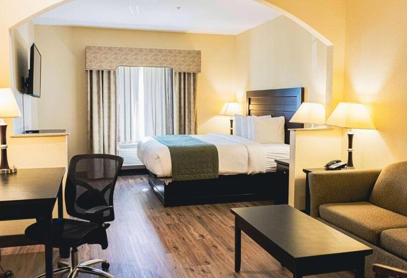 هتل Baymont By Wyndham Tyler