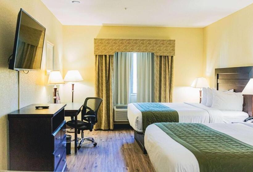 هتل Baymont By Wyndham Tyler