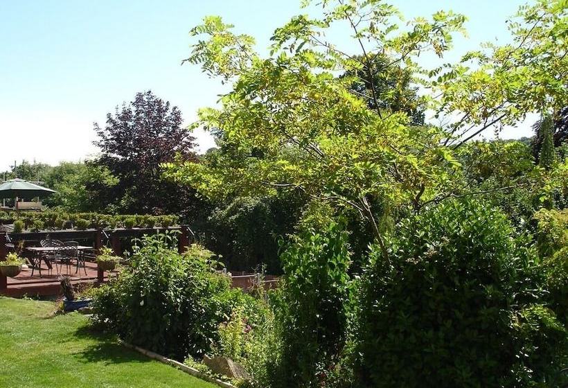 فندق Crabble Hill House