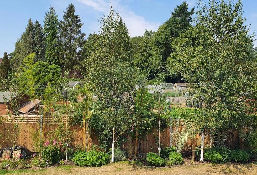 ホテル Cringleford Guest House