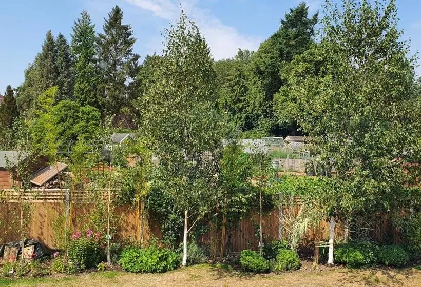 בית מלון כפרי Cringleford Guest House