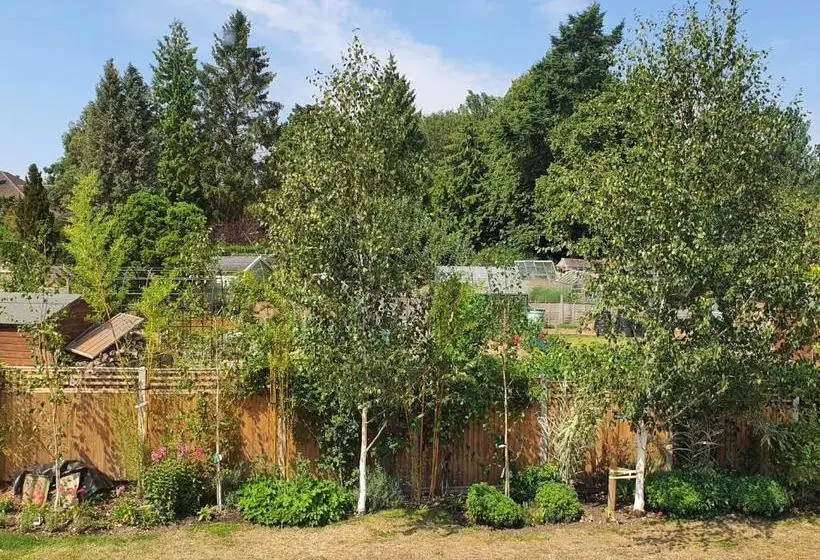 בית מלון כפרי Cringleford Guest House