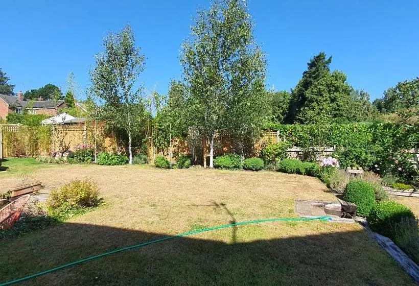 בית מלון כפרי Cringleford Guest House