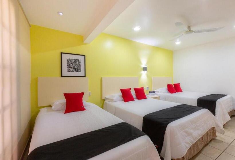 فندق Capital O Oaxaca Guest