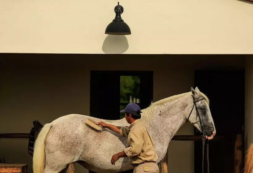 酒店 Rincón Del Socorro