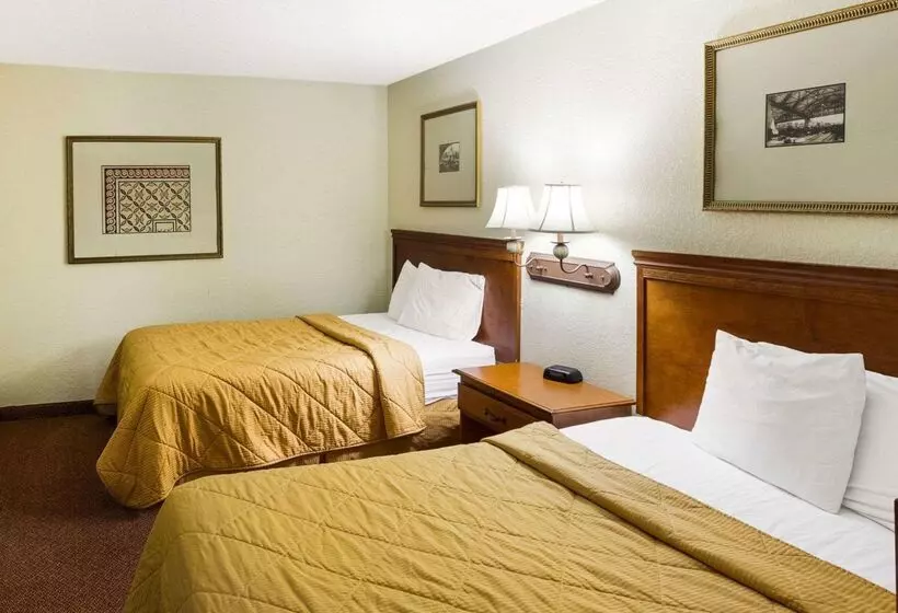 ホテル Rodeway Inn & Suites South Of Fiesta Park