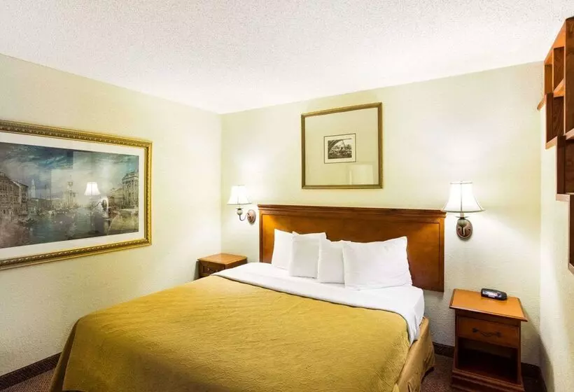ホテル Rodeway Inn & Suites South Of Fiesta Park