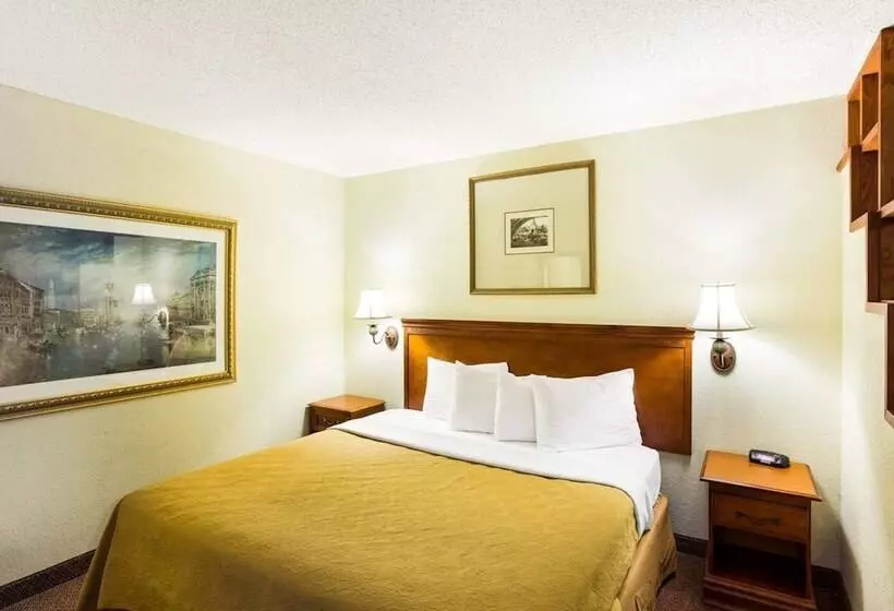 ホテル Rodeway Inn & Suites South Of Fiesta Park