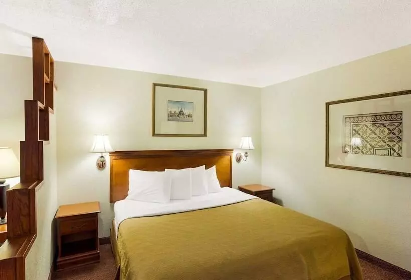 ホテル Rodeway Inn & Suites South Of Fiesta Park