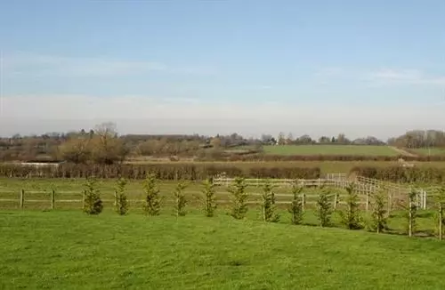 Hotel The Old Stables Guest house