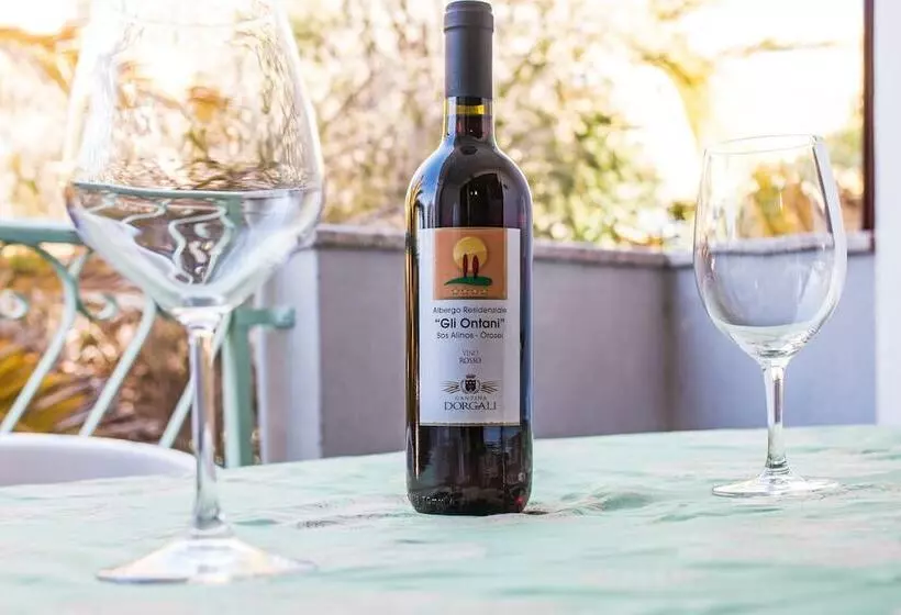 Отель Albergo Residenziale Gli Ontani