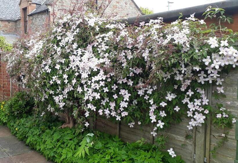 호텔 Cedar Villa Guest House