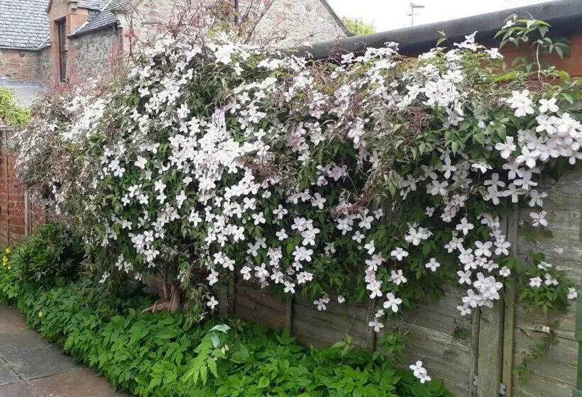 Отель Cedar Villa Guest House