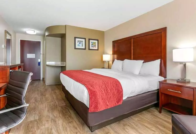 Отель Comfort Inn & Suites Van Buren   Fort Smith