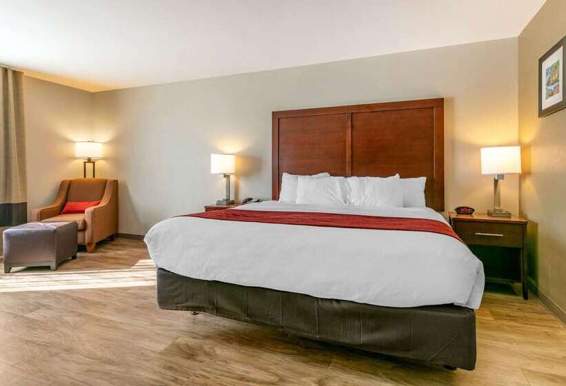 ホテル Comfort Inn & Suites Van Buren   Fort Smith