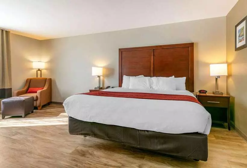 Отель Comfort Inn & Suites Van Buren   Fort Smith