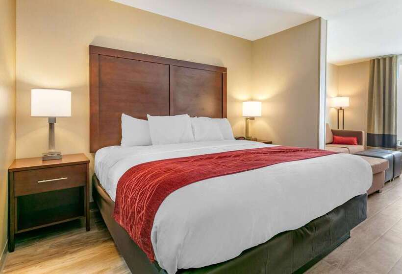 فندق Comfort Inn & Suites Van Buren   Fort Smith