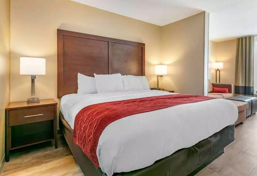Отель Comfort Inn & Suites Van Buren   Fort Smith