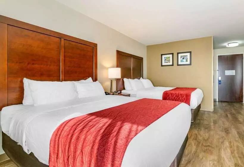 Отель Comfort Inn & Suites Van Buren   Fort Smith