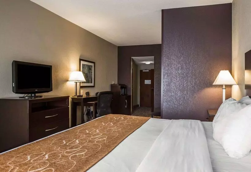 Отель Comfort Suites Whitsett Greensboro East