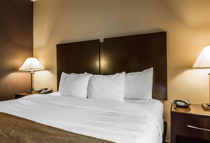 ホテル Comfort Suites Whitsett   Greensboro East