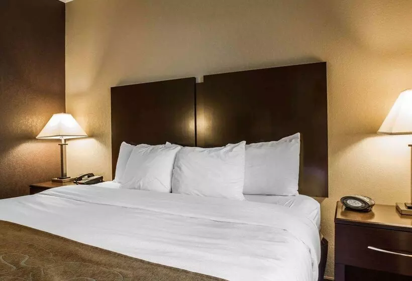 Отель Comfort Suites Whitsett Greensboro East