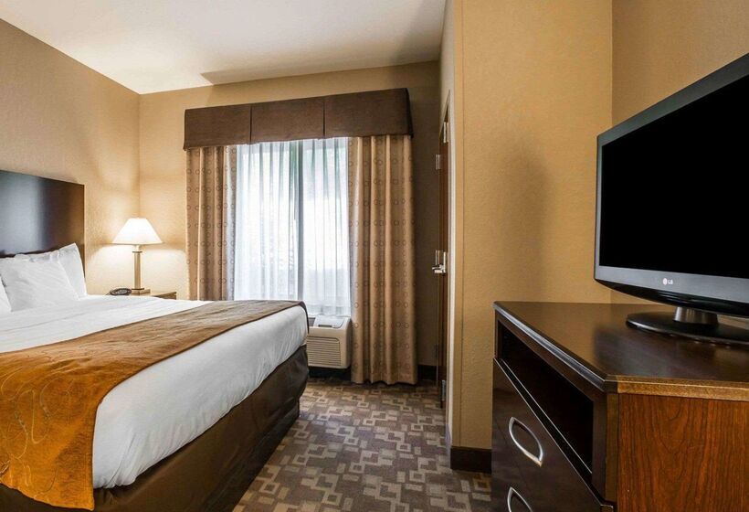 ホテル Comfort Suites Whitsett   Greensboro East