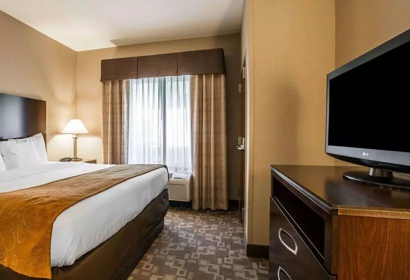 Отель Comfort Suites Whitsett Greensboro East