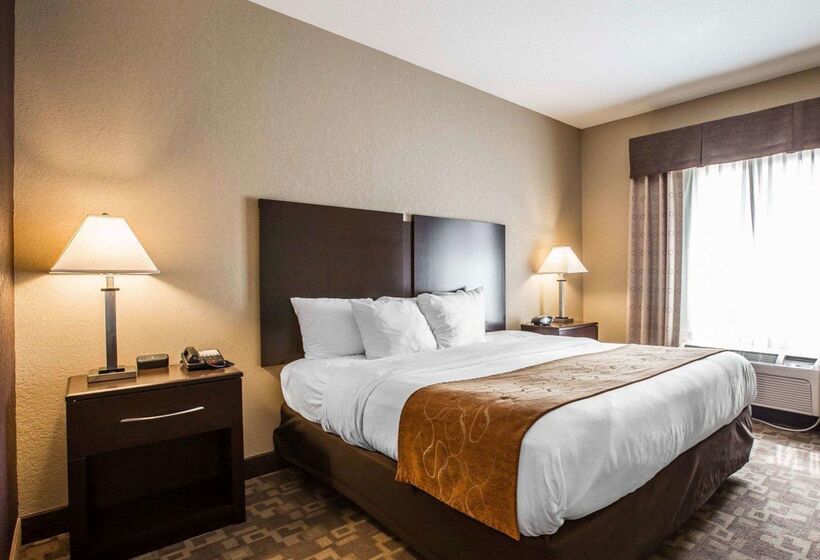 ホテル Comfort Suites Whitsett   Greensboro East