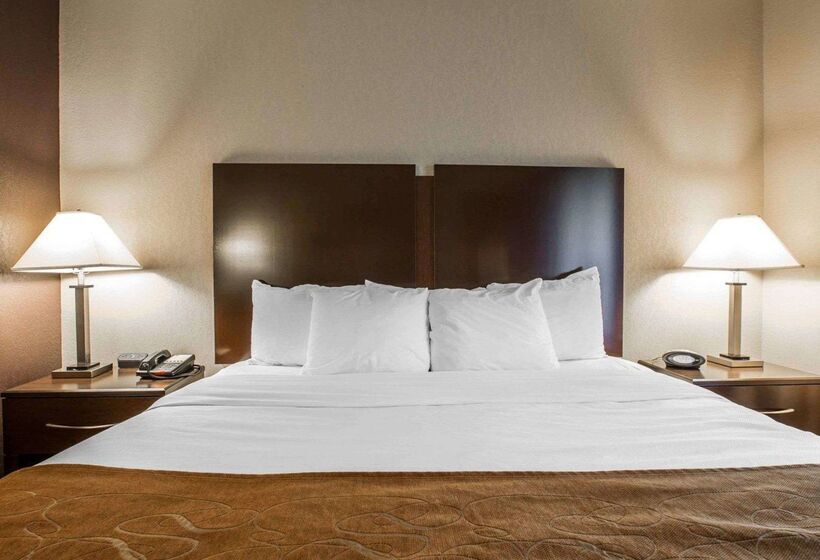 ホテル Comfort Suites Whitsett   Greensboro East