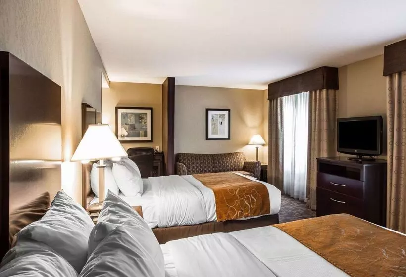 Отель Comfort Suites Whitsett Greensboro East