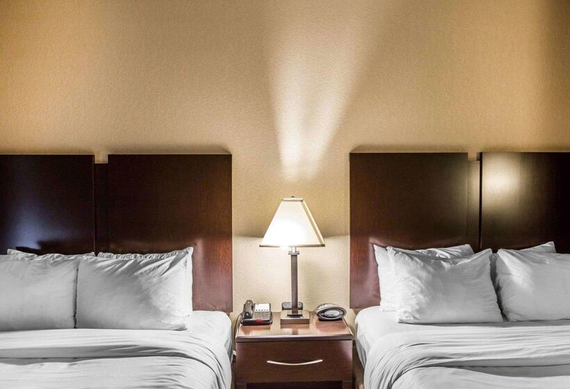 ホテル Comfort Suites Whitsett   Greensboro East