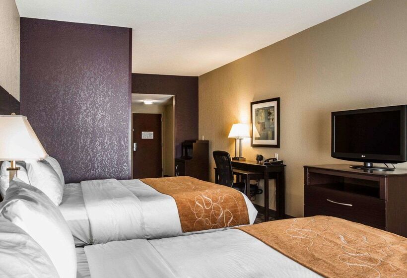 ホテル Comfort Suites Whitsett   Greensboro East