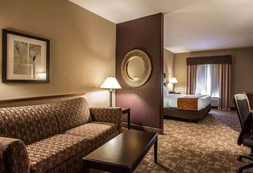 Отель Comfort Suites Whitsett Greensboro East
